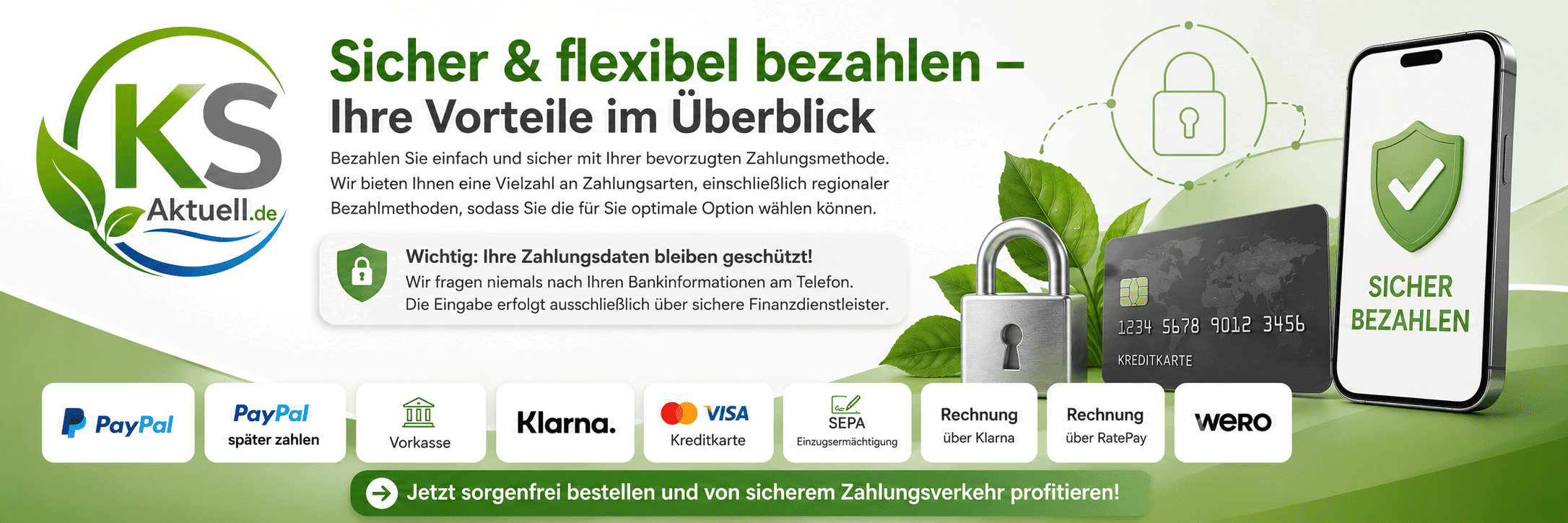Übersicht der sicheren Zahlungsoptionen für den Kauf von Silverlin Kolloidales Silber im Online-Shop